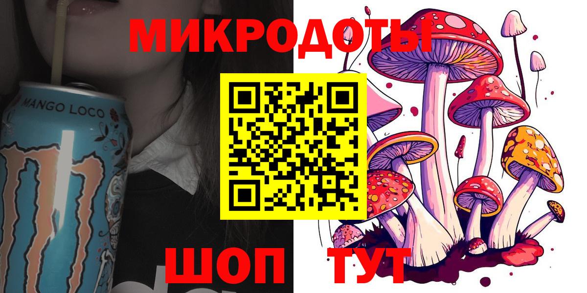 Галлюциногенные грибы Psilocybe  Вход с VPN  Большой Камень 